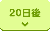 20日後